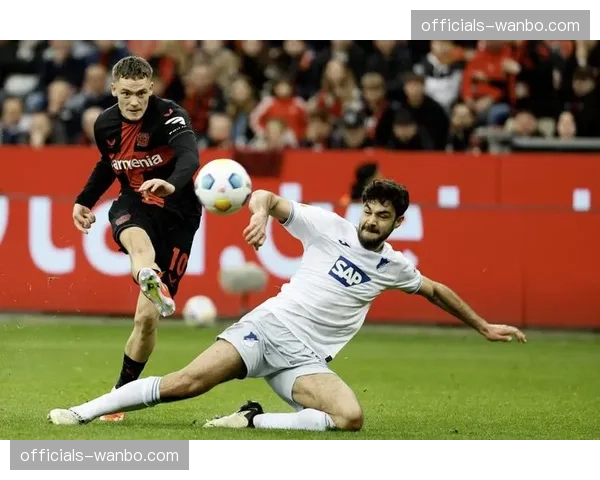 伊尔泽位移率要求：霍芬海姆高强度跑动距离德甲榜首的战术基础